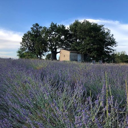 Cabanon Du Berger Villa Saignon Eksteriør bilde