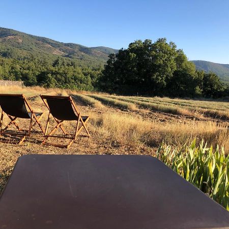 Cabanon Du Berger Villa Saignon Eksteriør bilde