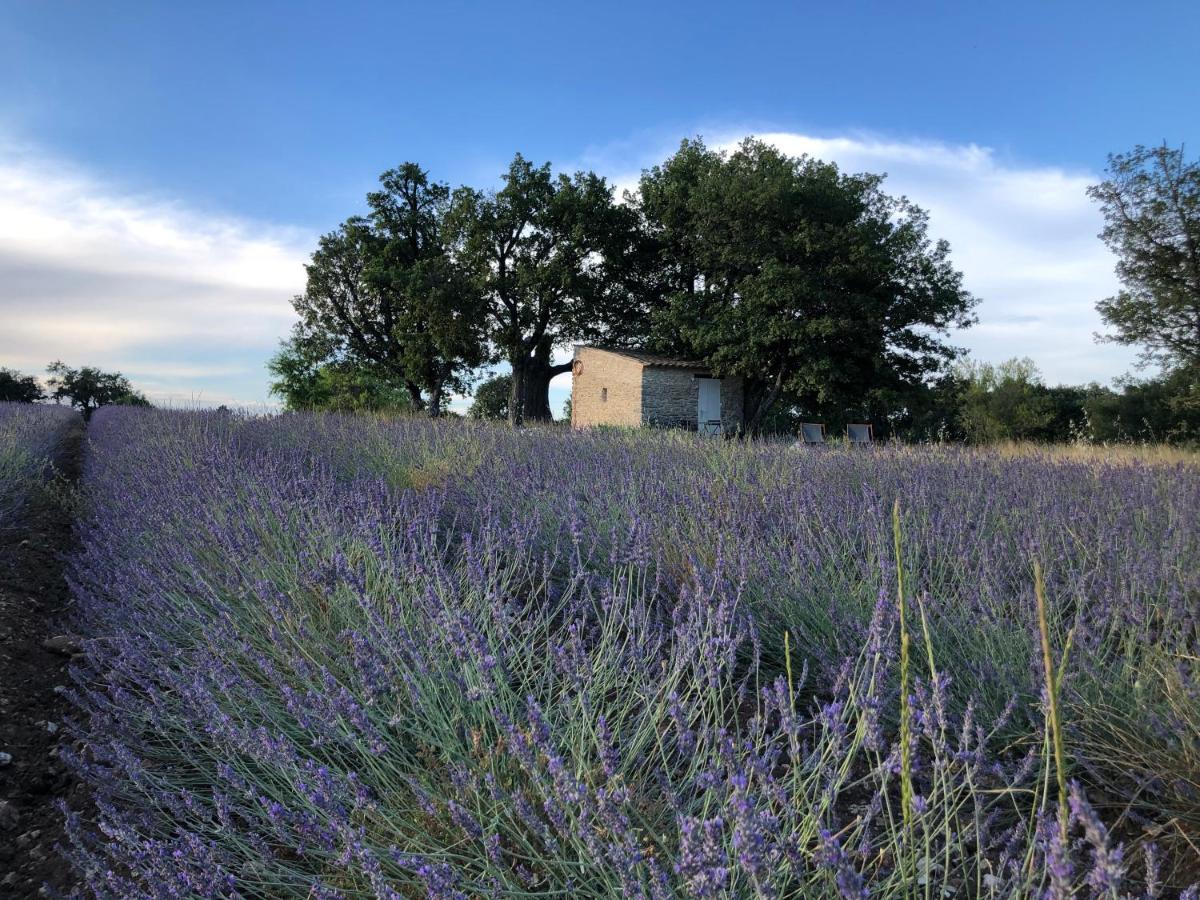 Cabanon Du Berger Villa Saignon Eksteriør bilde